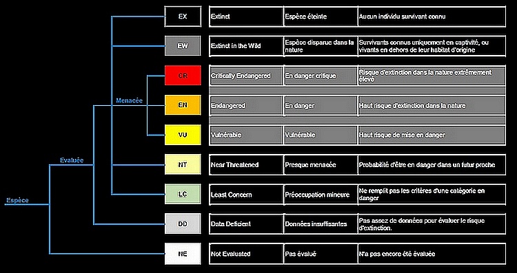 Statuts de conservation