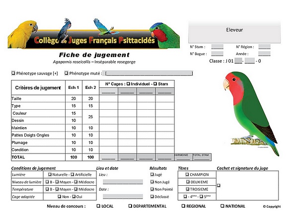 Fiche de jugement