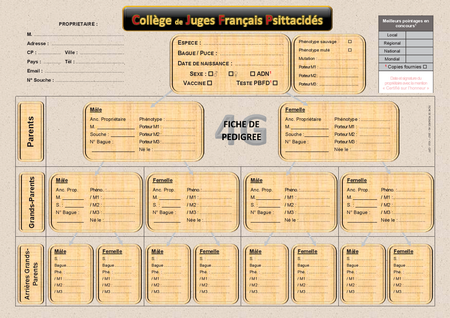 Fiche de pedigree 4 générations