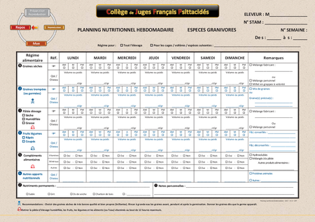 Planning nutritionnel hebdomadaire oiseau au repos