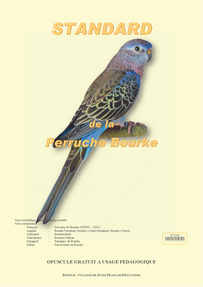 Opuscule standard perruche de Bourke