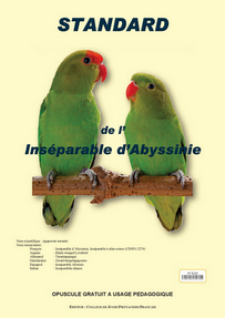 Opuscule standard Inséparable d'Abyssinie